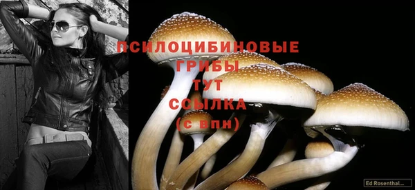 гашиш Горняк