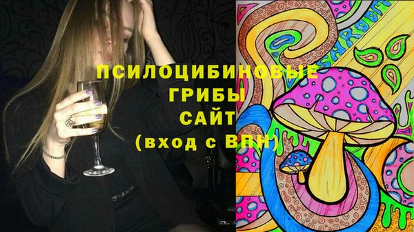 марки lsd Горно-Алтайск