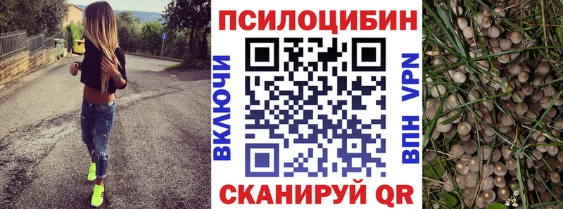 Галлюциногенные грибы Psilocybine cubensis Архангельск